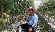 Thông tin quan trọng dành cho lao động Việt Nam tại Hàn Quốc