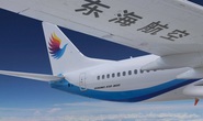 Trung Quốc điều tra vụ phi công, tiếp viên trưởng đánh nhau giữa chuyến bay