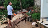 Sụt lún đất uy hiếp một số hộ dân tại TP Bảo Lộc
