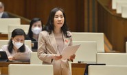 Đại biểu Quốc hội thảo luận về đề xuất trang bị máy bay, tàu thuyền cho cảnh sát cơ động