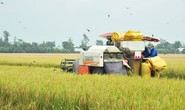 Nông nghiệp: Trụ đỡ vững chắc của nền kinh tế