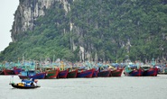 Hải Phòng, Quảng Ninh cấm biển, dừng hoạt động vận tải để ứng phó bão số 7