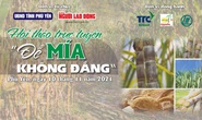 Báo Người Lao Động phối hợp tỉnh Phú Yên tổ chức hội thảo “Để mía không đắng”