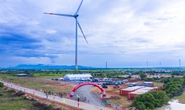 Ninh Thuận khánh thành thêm một nhà máy điện gió công suất 46,2MW