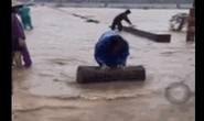 CLIP: Nước lũ cuồn cuộn đổ về, người dân Bình Định vẫn “liều mình” đi vớt gỗ