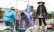 TIẾP SỨC NGƯ DÂN VƯỢT KHÓ, BÁM BIỂN (*): Đưa ngư dân vào chuỗi cung ứng