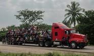 Mexico giải cứu 600 người di cư trên 2 chiếc xe đầu kéo