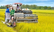 Nông nghiệp Việt Nam phải tăng trưởng hơn 10%/năm để bắt kịp các nước