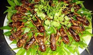 Ngộ độc do ăn côn trùng