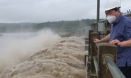 Phú Yên: 53 hồ thủy điện, thủy lợi đồng loạt xả lũ, hạ lưu ngập sâu