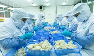 Thêm cơ hội hồi phục kinh tế từ RCEP