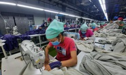 Khẩn trương hoàn tất chi gói hỗ trợ bảo hiểm thất nghiệp