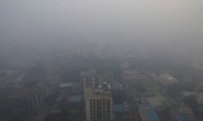 Người dân Ấn Độ thức dậy trong lớp khói mù độc hại nhất năm