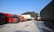 Hơn 4.800 xe hàng xuất đi Trung Quốc tắc ở cửa khẩu, Phó Thủ tướng chỉ đạo khẩn