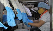 Sản xuất găng tay y tế kín đơn hàng đến năm 2022