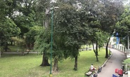 Xã hội hóa để tăng công viên, cây xanh