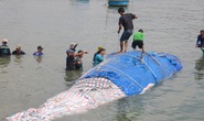 Hành trình đưa cá voi nặng gần 10 tấn vào bờ an táng