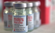 Hồ sơ nhập khẩu vắc-xin Covid-19 Moderna của Vimedimex chưa được Bộ Y tế phê duyệt