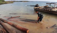 Giấu gỗ lậu dưới lòng hồ thủy điện