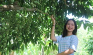 Thỏa thích “check in” vườn dâu trĩu quả của nguyên Bí thư Tỉnh đoàn Cà Mau