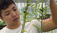 Ông chủ vườn lan Huỳnh Vũ: Từ chàng trai trông xe đến gia tài hoa lan giá trị