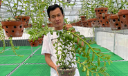 Ông chủ vườn lan Phạm Minh Minh nổi tiếng, được yêu mến đến không ngờ