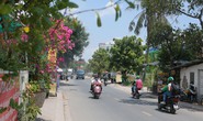 TĂNG SỨC BẬT KHU TÂY BẮC TP HCM (*): Sức sống mới ở An Phú Ðông
