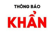 Hà Nội khẩn cấp tìm người đến nhà hàng, hiệu thuốc nơi bệnh nhân Covid-19 đã ghé qua
