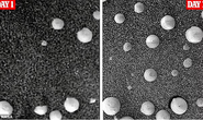 NASA vô tình ghi hình được sự sống ngoài hành tinh?