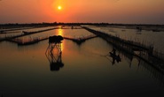 Cuộc thi viết về chủ quyền biển đảo:  Phát triển bền vững kinh tế biển