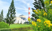 Công ty Nhiệt điện Cần Thơ hưởng ứng Ngày Môi trường thế giới và Tháng Hành động vì môi trường