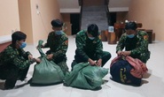 CLIP: Biên phòng An Giang mật phục phát hiện vụ vận chuyển 33kg cần sa khô, 7kg ma túy
