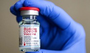 Bộ Y tế phê duyệt có điều kiện vắc-xin Covid-19 Moderna