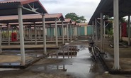 Chi hơn 10 tỉ đồng xây chợ đầu mối chào mừng xã nông thôn mới rồi... bỏ hoang