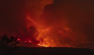 Mỹ: Máy bay rơi, lính cứu hỏa chết giữa đám cháy rừng