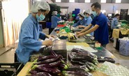 Giữ thông suốt chuỗi cung ứng hàng hóa
