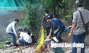 Vụ hỗn chiến kinh hoàng ở Long An: Bắt tạm giam 7 đối tượng