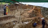Bất ngờ với báu vật ẩn mình trong những con người lai đầu tiên