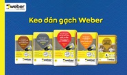 Saint-Gobain Việt Nam thực nghiệm độ bám dính giữa keo dán gạch và hồ dầu