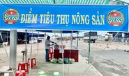 Giúp dân tiêu thụ nông sản