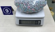 Thu giữ hơn 30kg ma túy chuyển phát nhanh từ Pháp