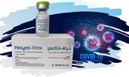 Tập đoàn lớn nhất UAE xuất khẩu vắc-xin Covid-19 Hayat-Vax