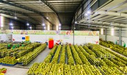 Giúp doanh nghiệp khôi phục sản xuất - kinh doanh (*): Cần sự hỗ trợ thiết thực