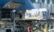 Vận chuyển 6,2 tấn hàng y tế của kiều bào hỗ trợ từ Mỹ về Việt Nam