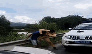 CLIP: CSGT quật ngã nghi phạm vận chuyển ma tuý trên cao tốc
