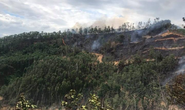 Người đàn ông ở Quảng Nam chết thương tâm khi chữa cháy rừng