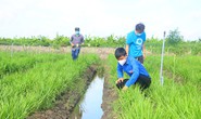 Giúp dân thu hoạch nông sản
