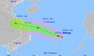 Áp thấp nhiệt đới dự báo đổ bộ Thừa Thiên-Huế đến Bình Định, mưa rất to