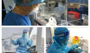 Xúc động lá đơn xin được ở lại chia lửa cùng Bình Dương chống dịch
