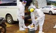 Từ 1 học sinh mắc Covid-19 tới trường, phát hiện chùm ca nhiễm